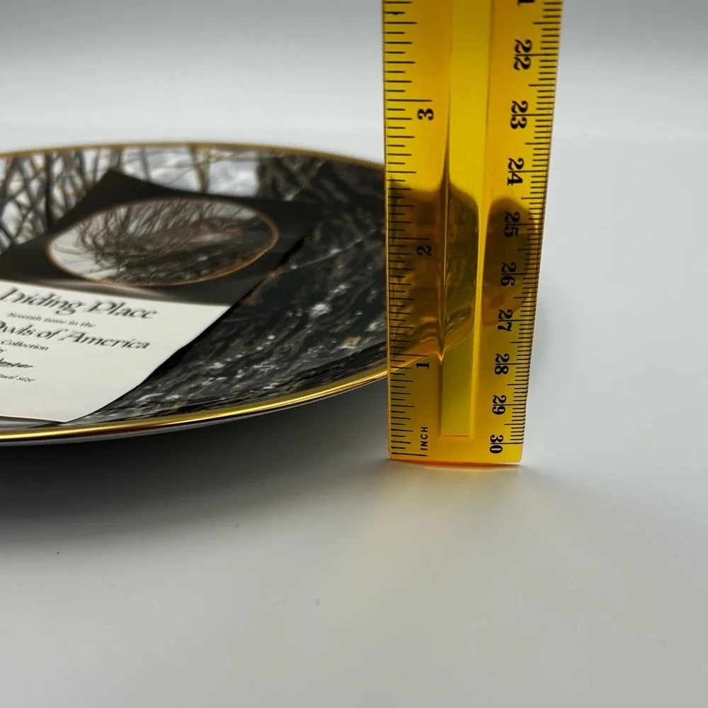 Spode Noble Owls of America Seerey-Lester Saw-whet Owl Art Decorative Plate LE
